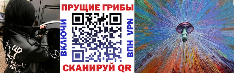 наркотики  Красноуфимск  Псилоцибиновые грибы MAGIC MUSHROOMS 